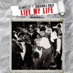 DJ Breezy – Live My Life ft. Adekunle Gold