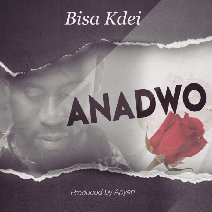 Bisa Kdei – Anadwo (Prod. by Apya)