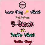 D-Black – Low Key Vibes ft. Darko Vibes & Dahlin Gage