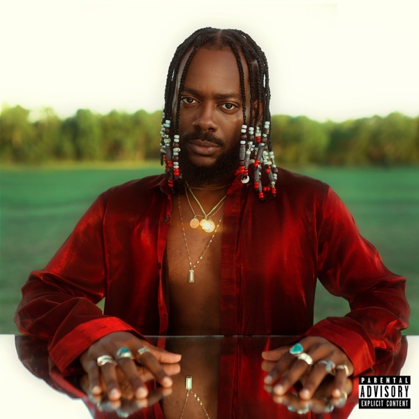 Adekunle Gold – Water Carry Me