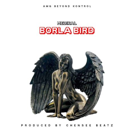 Medikal – Borla Bird (Prod. by Chensee Beatz)