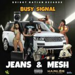 Busy Signal Jeans and Mesh