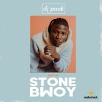 DJ Paak – Best of Stonebwoy (Mixtape)