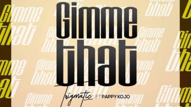 Trigmatic ft Pappy Kojo Gimme That