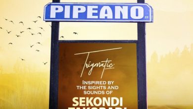 Trigmatic Pipeano Full Album EP