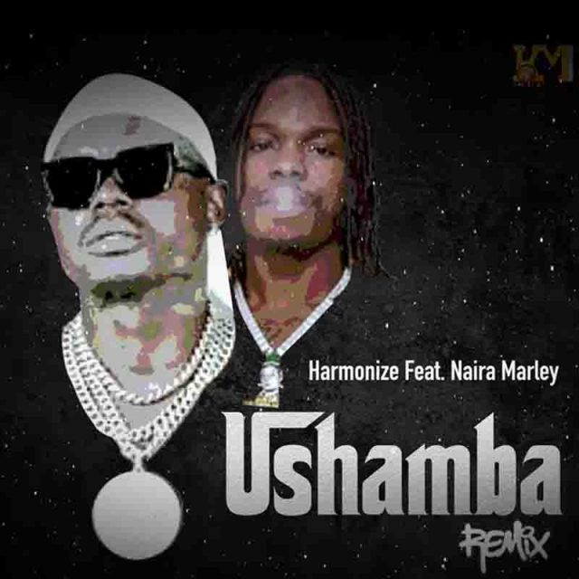 Harmonize – Ushamba (Remix) ft. Naira Marley