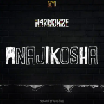 Harmonize Anajikosha