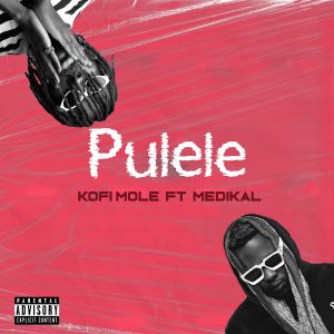 Kofi Mole Ft Medikal Pulele