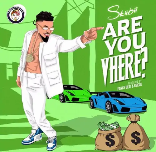Skiibii – Are You Vhere (Prod by Rexxie)