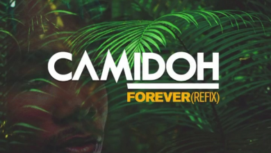 Camidoh Gyakie Forever Refix