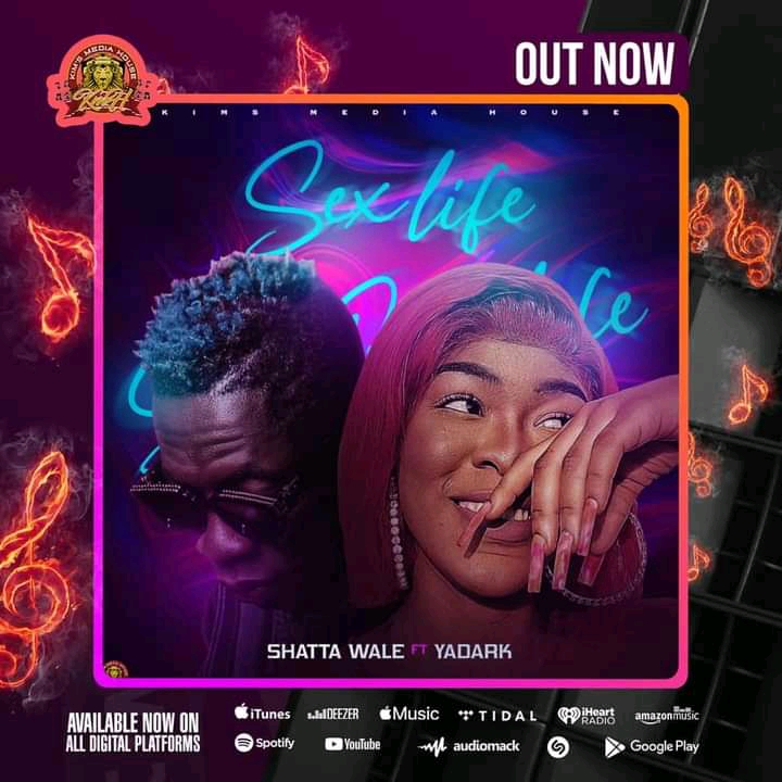 Shatta Wale – Sex Life ft. Yadark