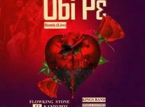 Flowking Stone – Obi P3 Remix Live mp3 download