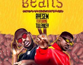 Ayesem – Beans ft Tulenkey mp3 download