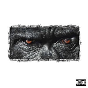 Joey B – Gorilla ft Yaw Tog mp3 download
