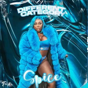 Spice – Different Category mp3 download