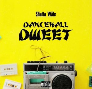 Shatta Wale – Dancehall Dweet mp3 download