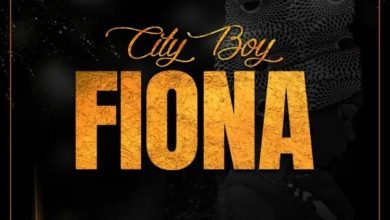 City Boy – Fiona mp3 download