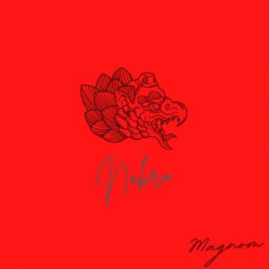 Magnom – Nobro mp3 download