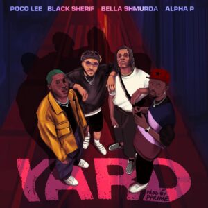 Poco Lee – Yard ft Black Sherif, Bella Shmurda & Alpha P mp3 download