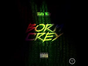 Shatta Wale – Born Crey mp3 download