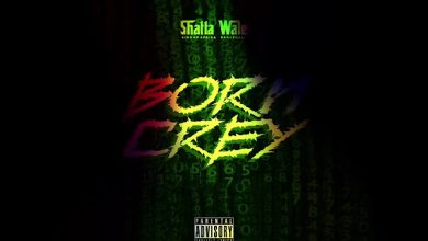 Shatta Wale – Born Crey mp3 download