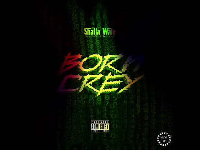 Shatta Wale – Born Crey