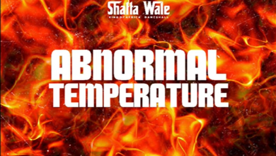 Shatta Wale – Abnormal Temperature mp3 download