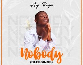 Ay Poyoo – Nobody mp3 download