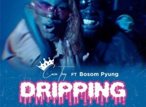 Cocotrey – Dripping ft Bosom P-Yung mp3 download