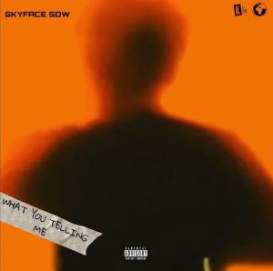 Skyface SDW – What You Telling Me mp3 download