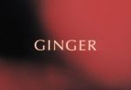 King Promise – Ginger mp3 download