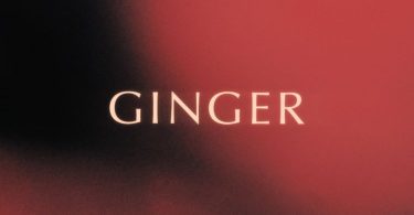 King Promise – Ginger mp3 download
