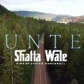 Shatta Wale – Hunter mp3 download