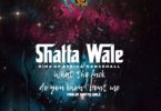 Shatta Wale – What The F*ck Do You Bout Me mp3 download