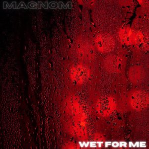 Magnom – Wet For Me mp3 download