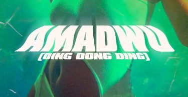 Skyface SDW – Amadwo (Ding Dong Ding) ft. Reggie