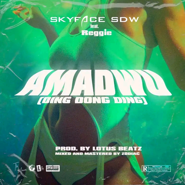 Skyface SDW – Amadwo (Ding Dong Ding) ft. Reggie
