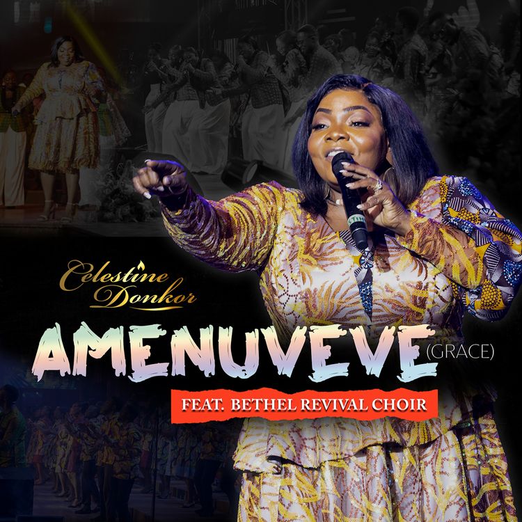 Celestine Donkor – Amenuveve