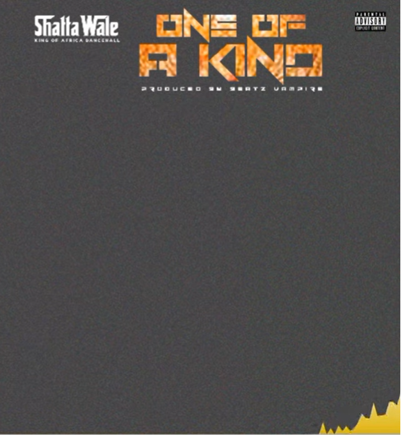 Shatta Wale – One Of A Kind