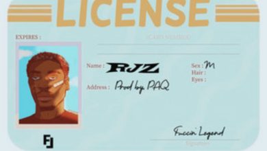 RJZ – License mp3 download