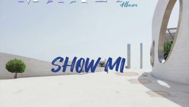Shatta Wale – Show Mi mp3 download