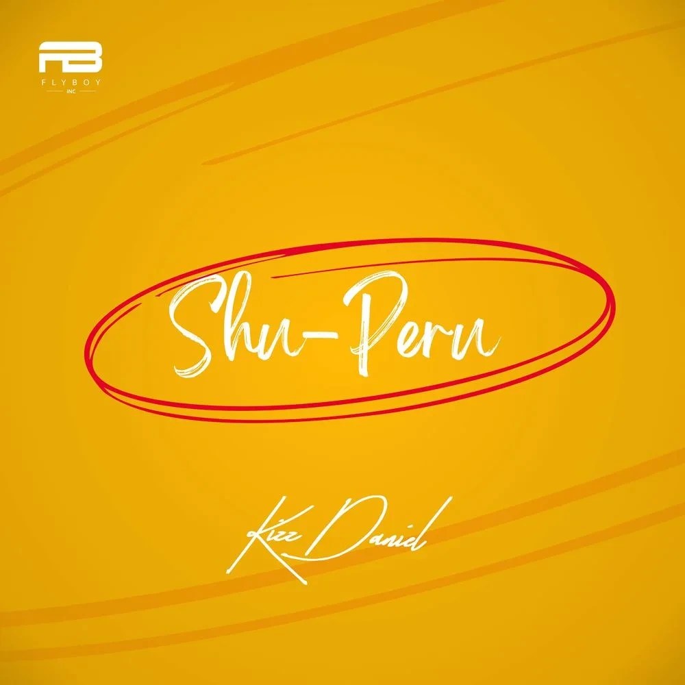 Kizz Daniel – Shu Peru mp3 download