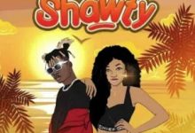 Chief One – Shawty mp3 download
