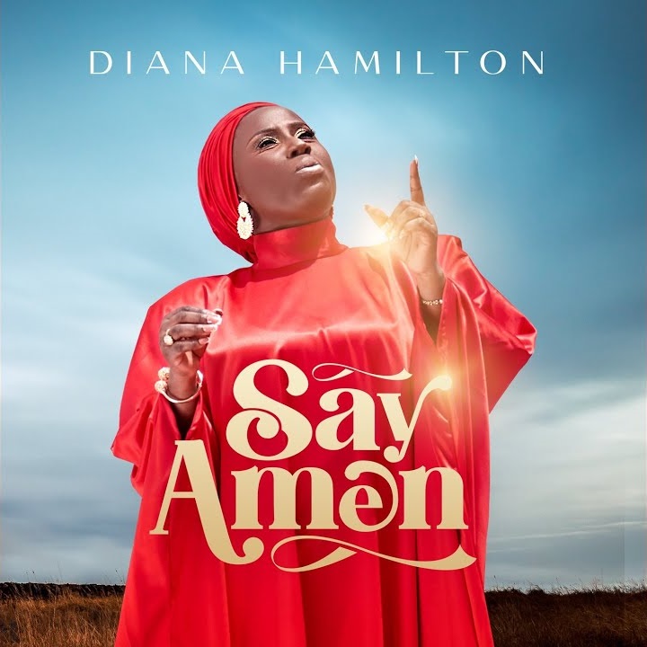 Diana Hamilton – Say Amen
