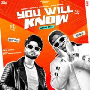 Nobby Singh – You Will Know ft Medikal mp3 download