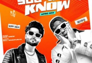 Nobby Singh – You Will Know ft Medikal mp3 download