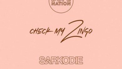 DopeNation – Check My Zingo (Remix) Ft Sarkodie mp3 download