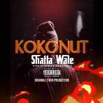 Shatta Wale – Kokonut mp3 download