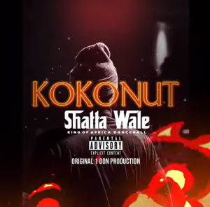 Shatta Wale – Kokonut mp3 download