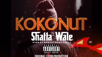 Shatta Wale – Kokonut mp3 download